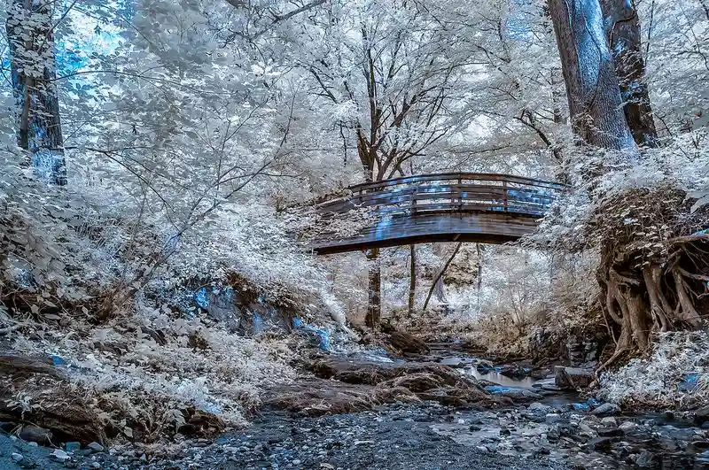 Botanical Gardens at Asheville