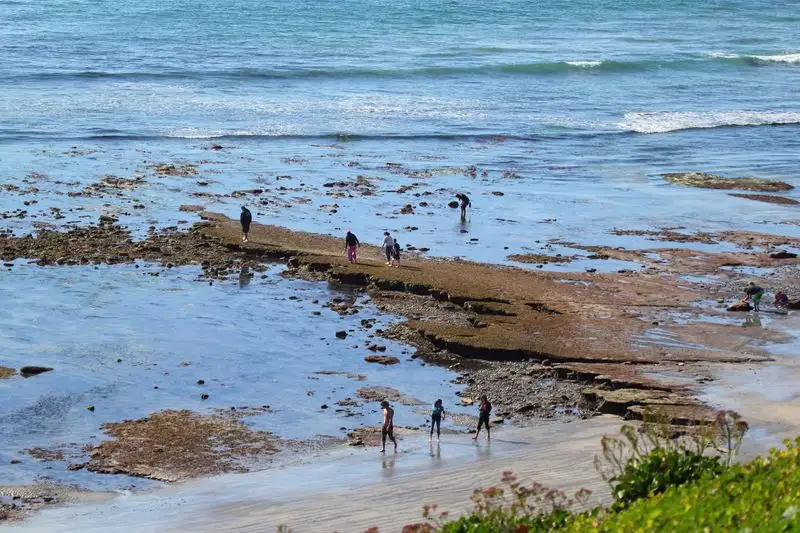 Swami’s Beach