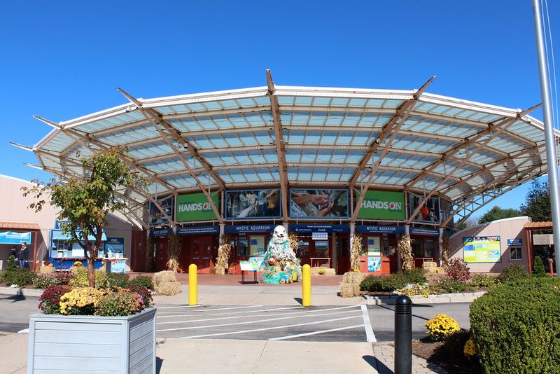 Mystic Aquarium: Marine Life and Ocean Conservation