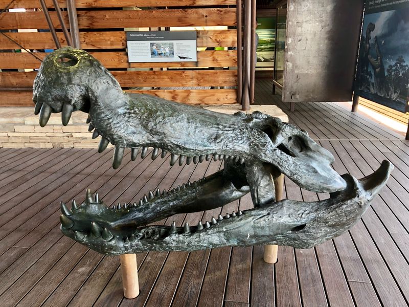 Exploring the Fossil Discovery Exhibit
