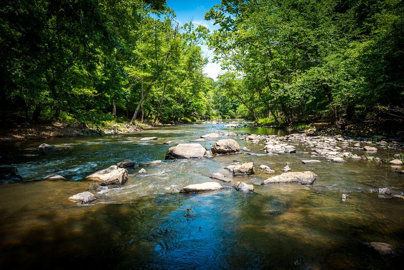 Eno River State Park