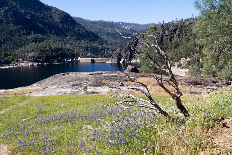 Hetch Hetchy Dam
