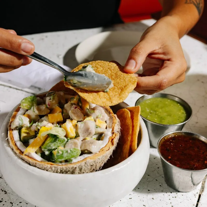 Javier’s Gourmet Mexicano