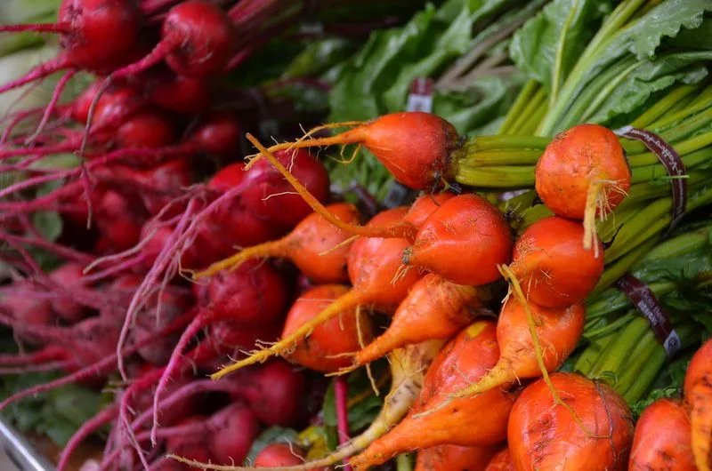 Dane County Farmers Market, Madison, Wisconsin