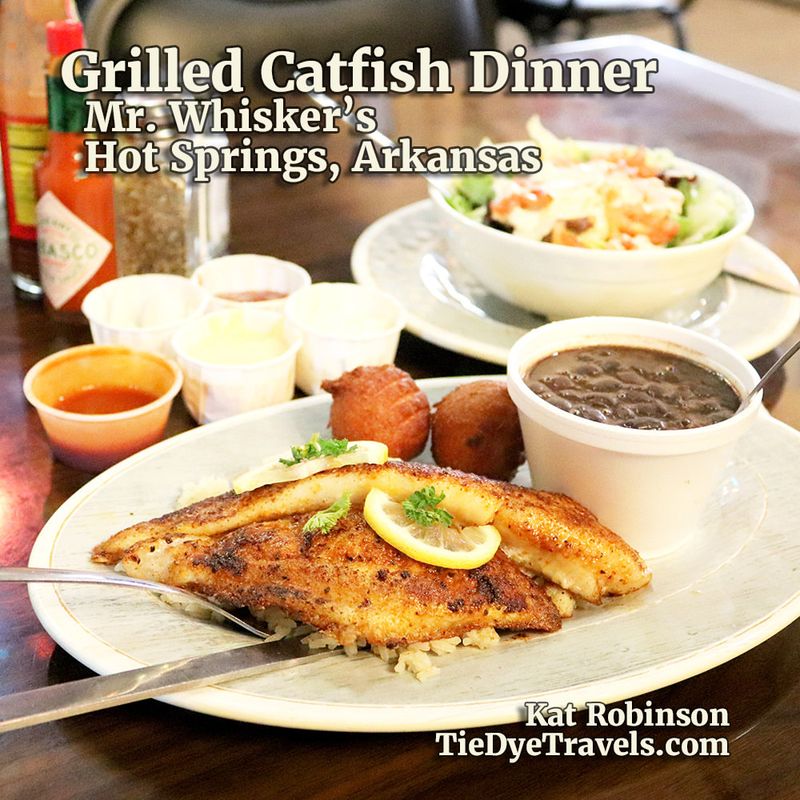 Mr. Whiskers – Hot Springs, AR