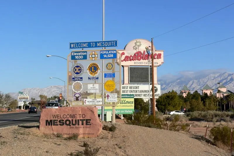Mesquite