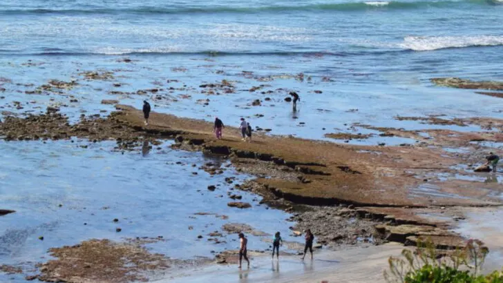 Encinitas might be the perfect mix of ocean breezes, coastal trails, and small-town charm