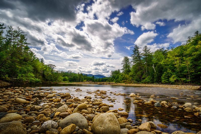 Go Tubing or Canoeing on the Saco River