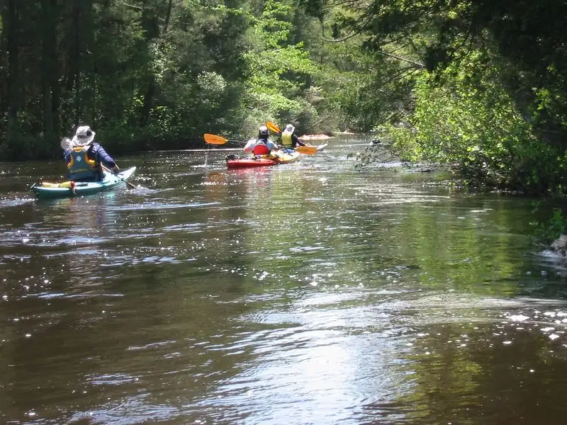 Kayaking or Paddleboarding on the Oswego River