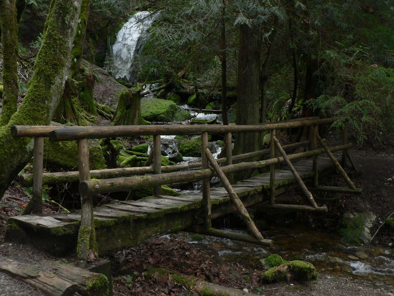 Coal Creek Trail