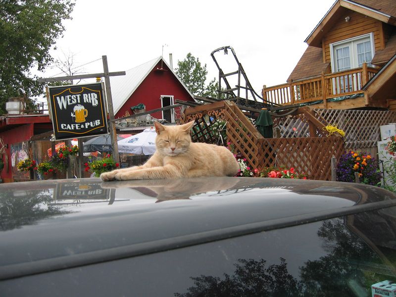 Talkeetna, Alaska