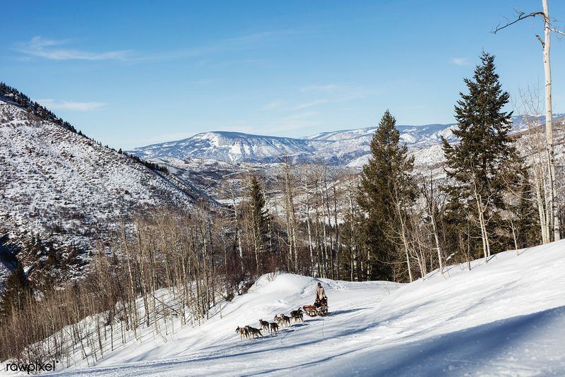 Skiing in the Rockies