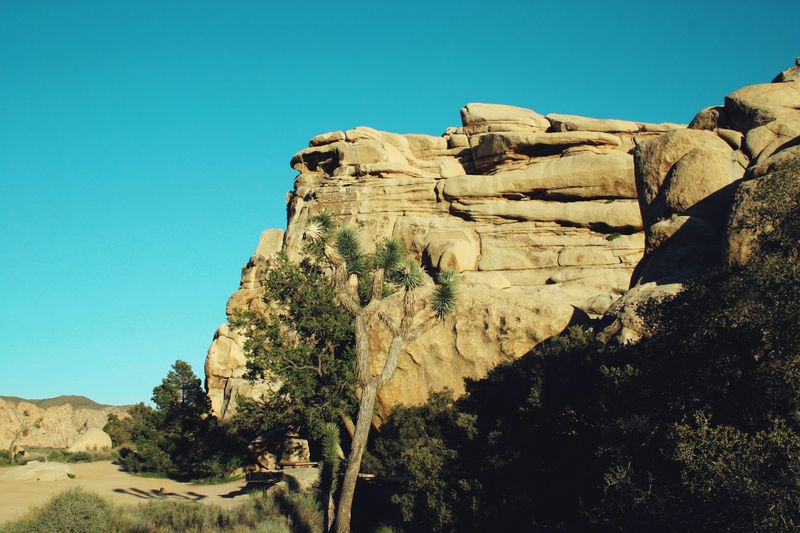 Hiking in a national park