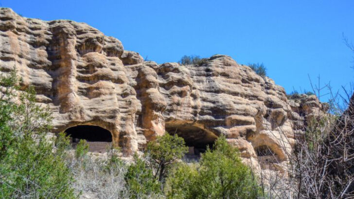 Explore Gila National Forest’s 3 million acres filled with wilderness history, cliff dwellings, and wildlife