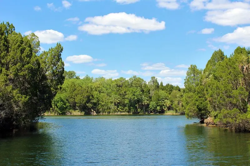 Swim with Manatees in Crystal River