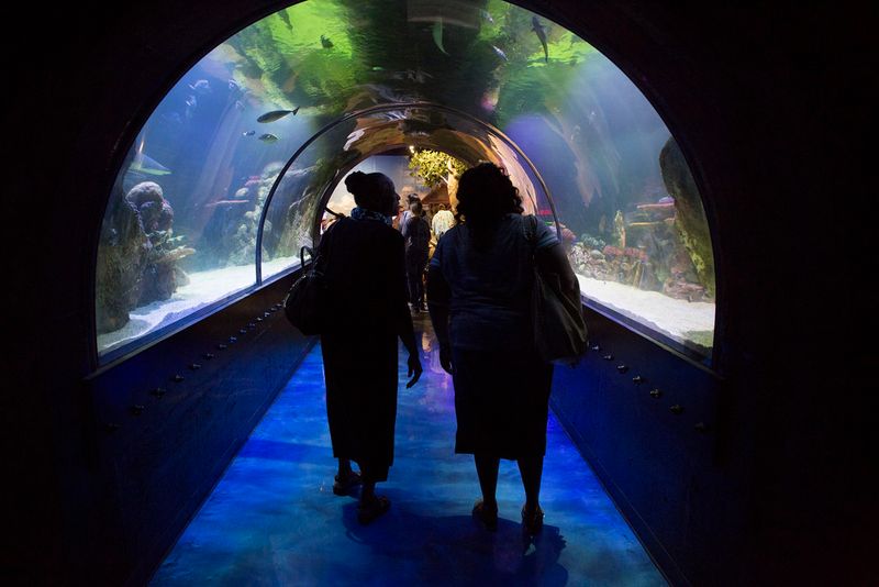 Discover the Shreveport Aquarium