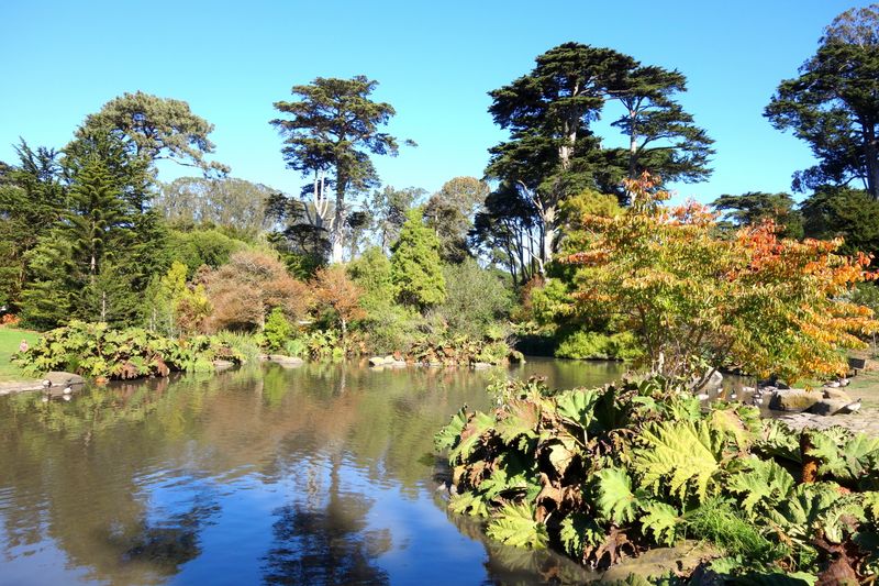 San Francisco Botanical Garden, California