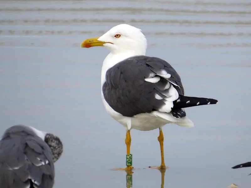 Wildlife Watching at Its Best