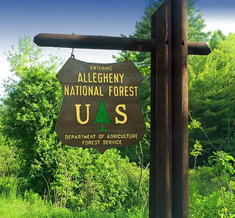Allegheny National Forest