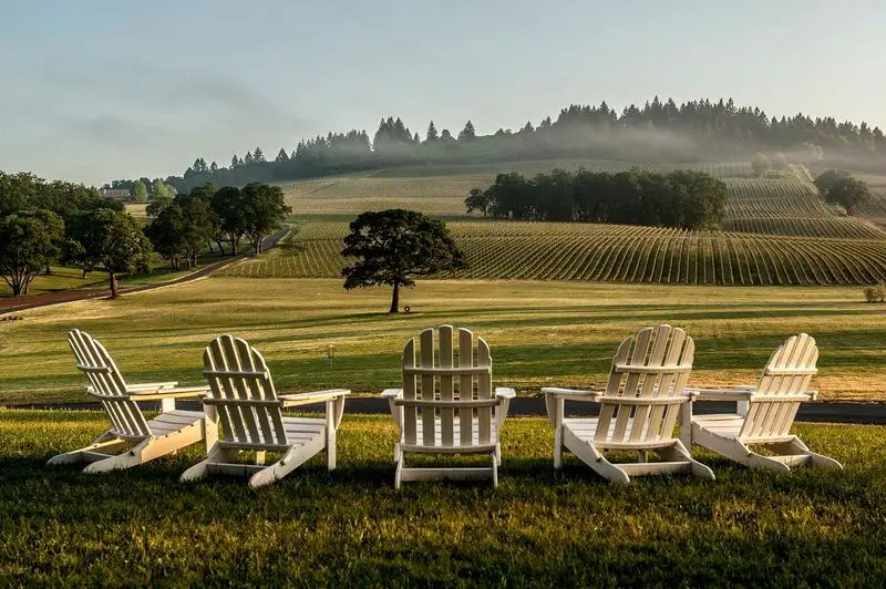 Vineyard tours and grape stomps at Stoller Family Estate, Oregon