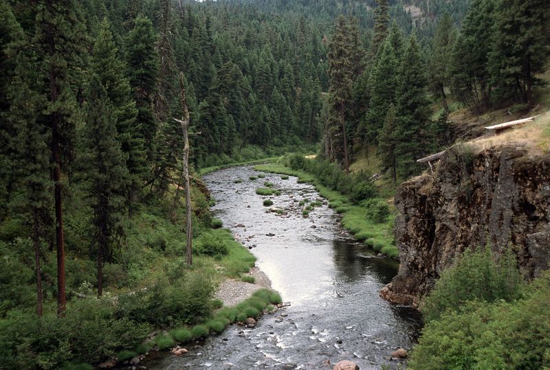 Camping at Ukiah Creek Campground
