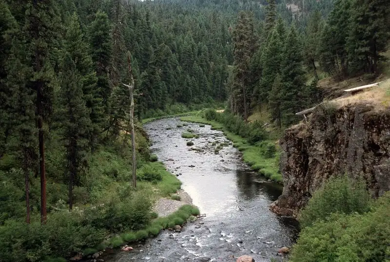Camping at Ukiah Creek Campground