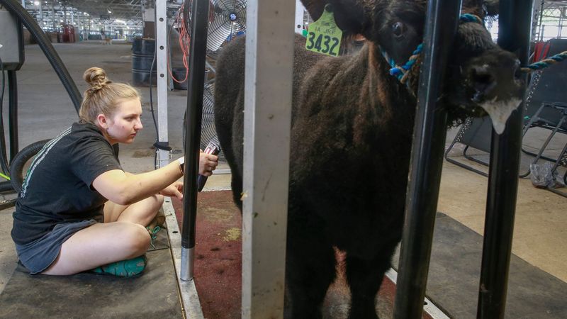 Polk County Fair – Des Moines