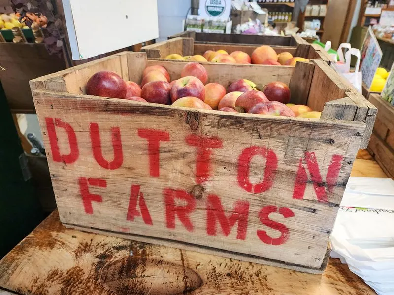 Local Farms, Apple Orchards & Harvest Festivals