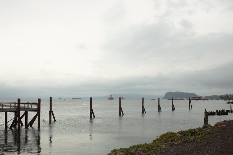 Foggy Mornings on the Columbia River