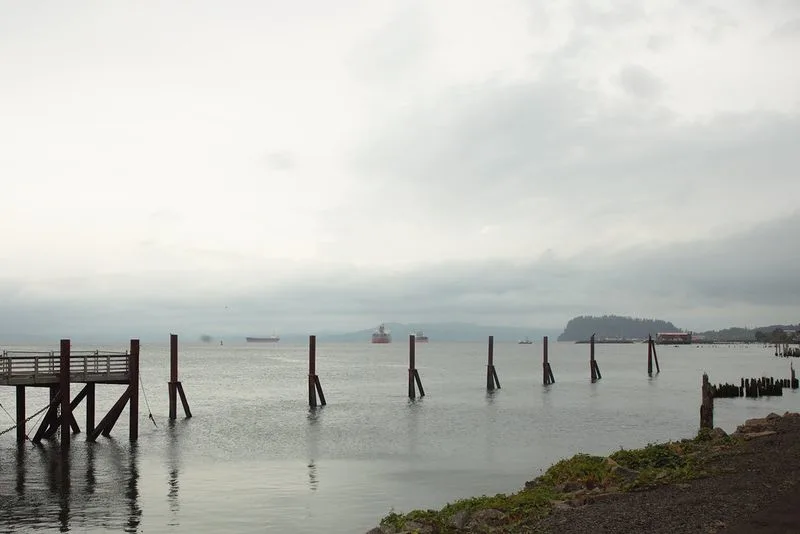 Foggy Mornings on the Columbia River