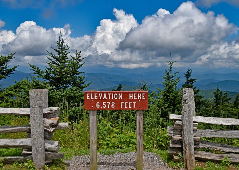 Mount Mitchell State Park