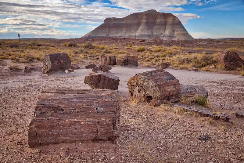 Petrified Forest National Park