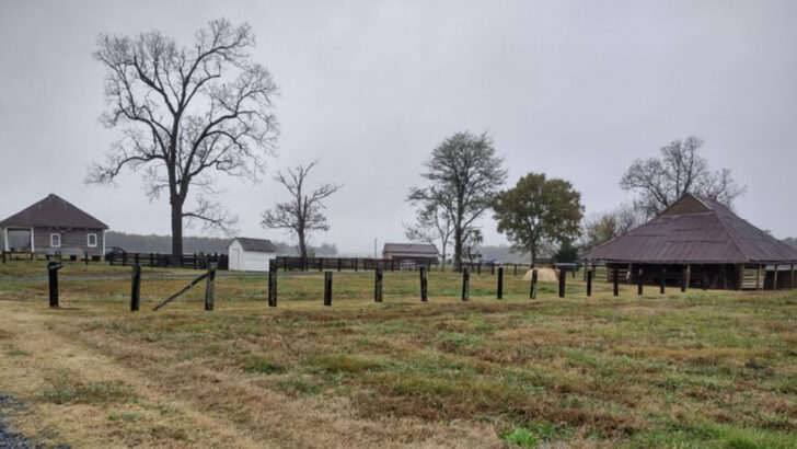 Founded in the 1700s, Natchitoches remains Louisiana’s oldest town with French colonial charm