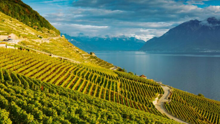 From Alpine Hikes to Harvest Festivals: Fall is Switzerland at its Best