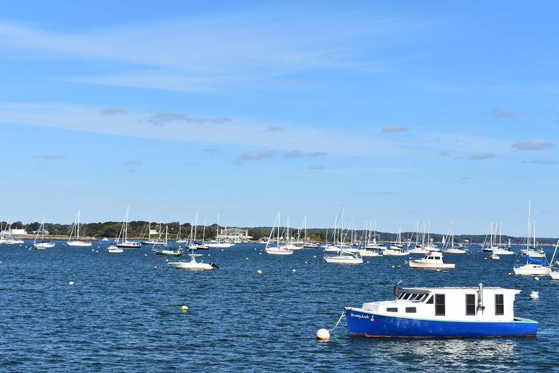 Take a Harbor Cruise (Seasonal)