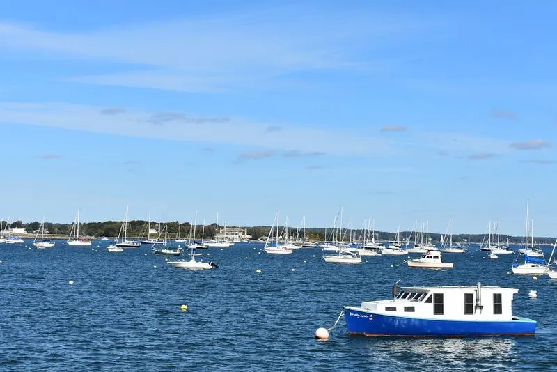 Take a Harbor Cruise (Seasonal)
