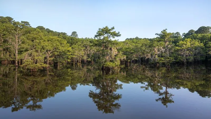 Caddo Lake, Texas