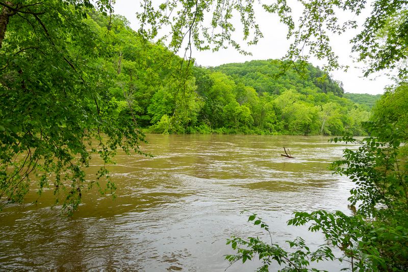 The Ozarks