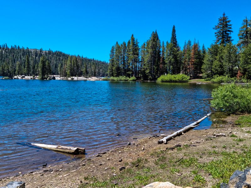 Markleeville, CA