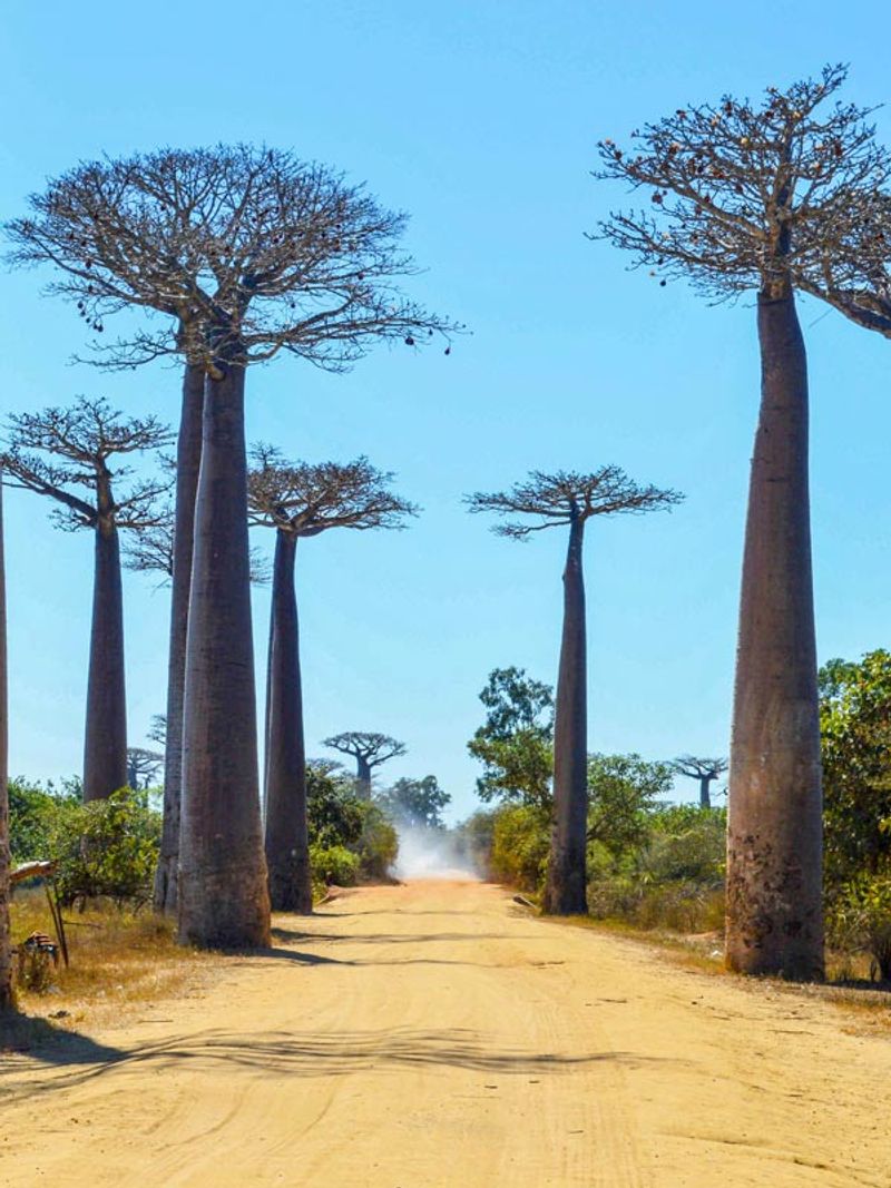 Madagascar