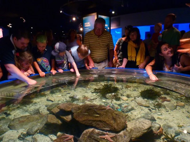 Mystic Aquarium, Connecticut