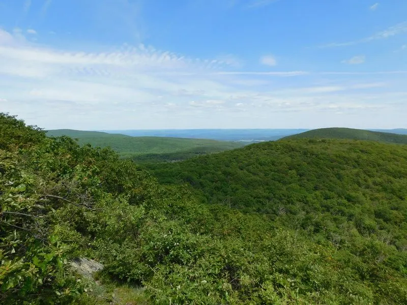 Litchfield Hills