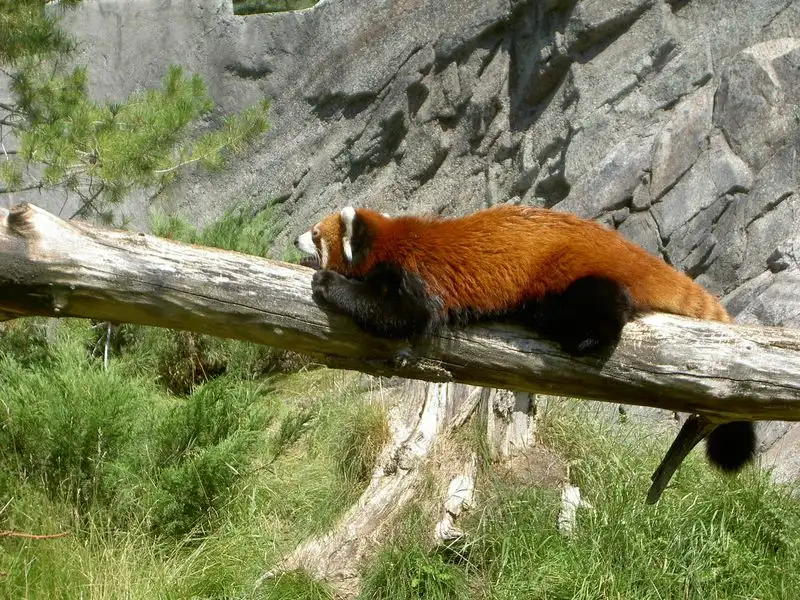 Calgary Zoo