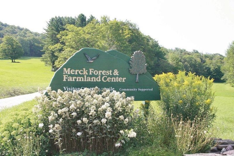 Merck Forest & Farmland Center