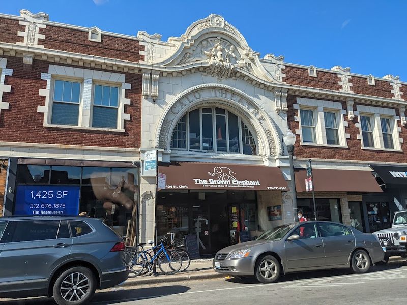 Brown Elephant – Andersonville, Chicago