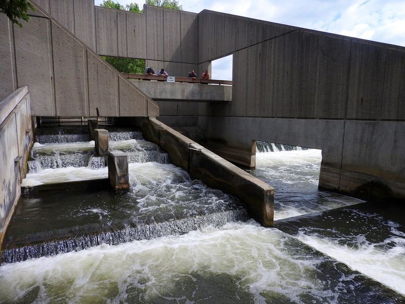 Fish Ladder Park