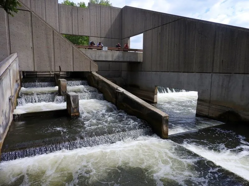 Fish Ladder Park