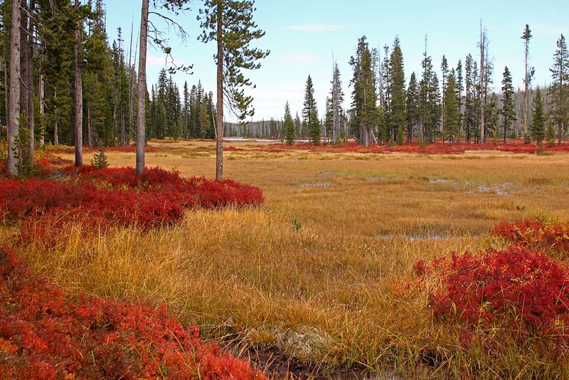 Yellowstone National Park