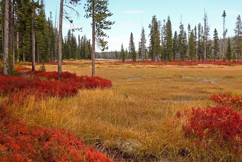 Yellowstone National Park