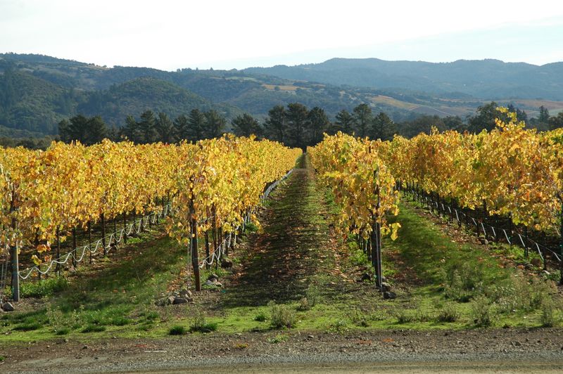 Sonoma County, California